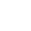 truck icon